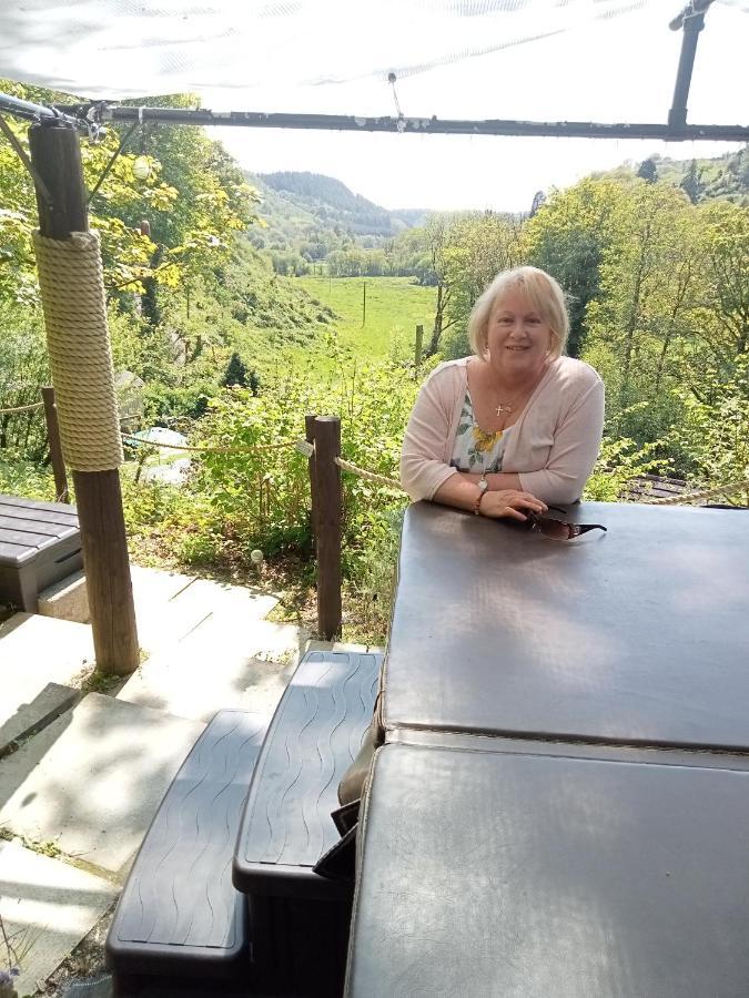 'Morris' The Shepherd'S Hut With Woodland Hot Tub Carmarthen Exteriör bild