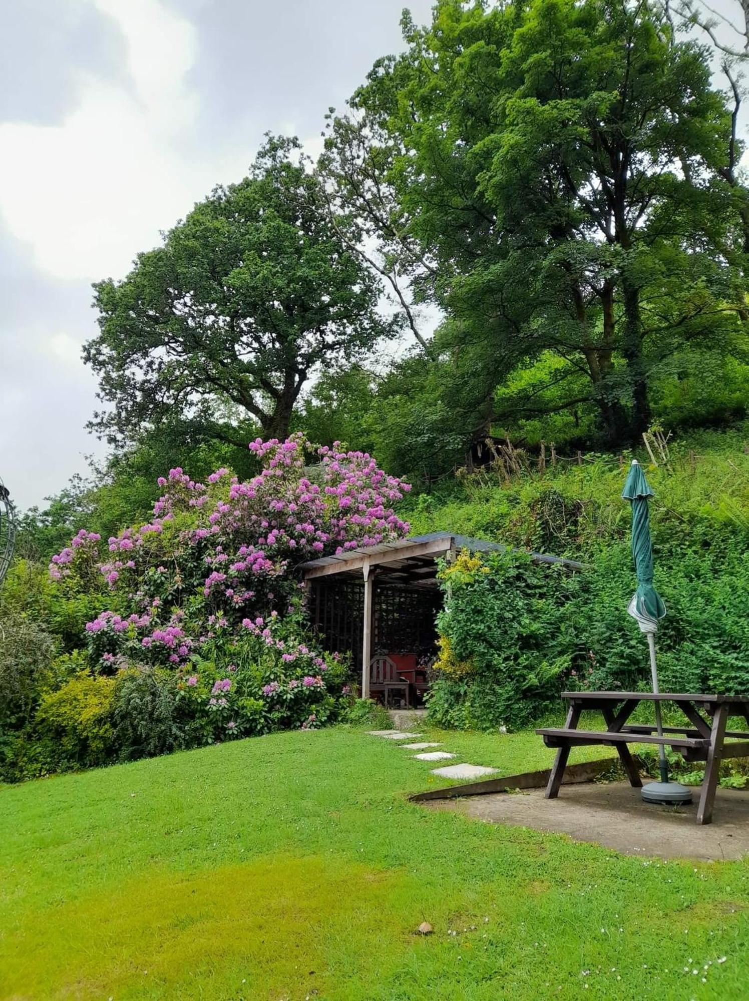 'Morris' The Shepherd'S Hut And Woodland Hot Tub Experience Carmarthen Exteriör bild