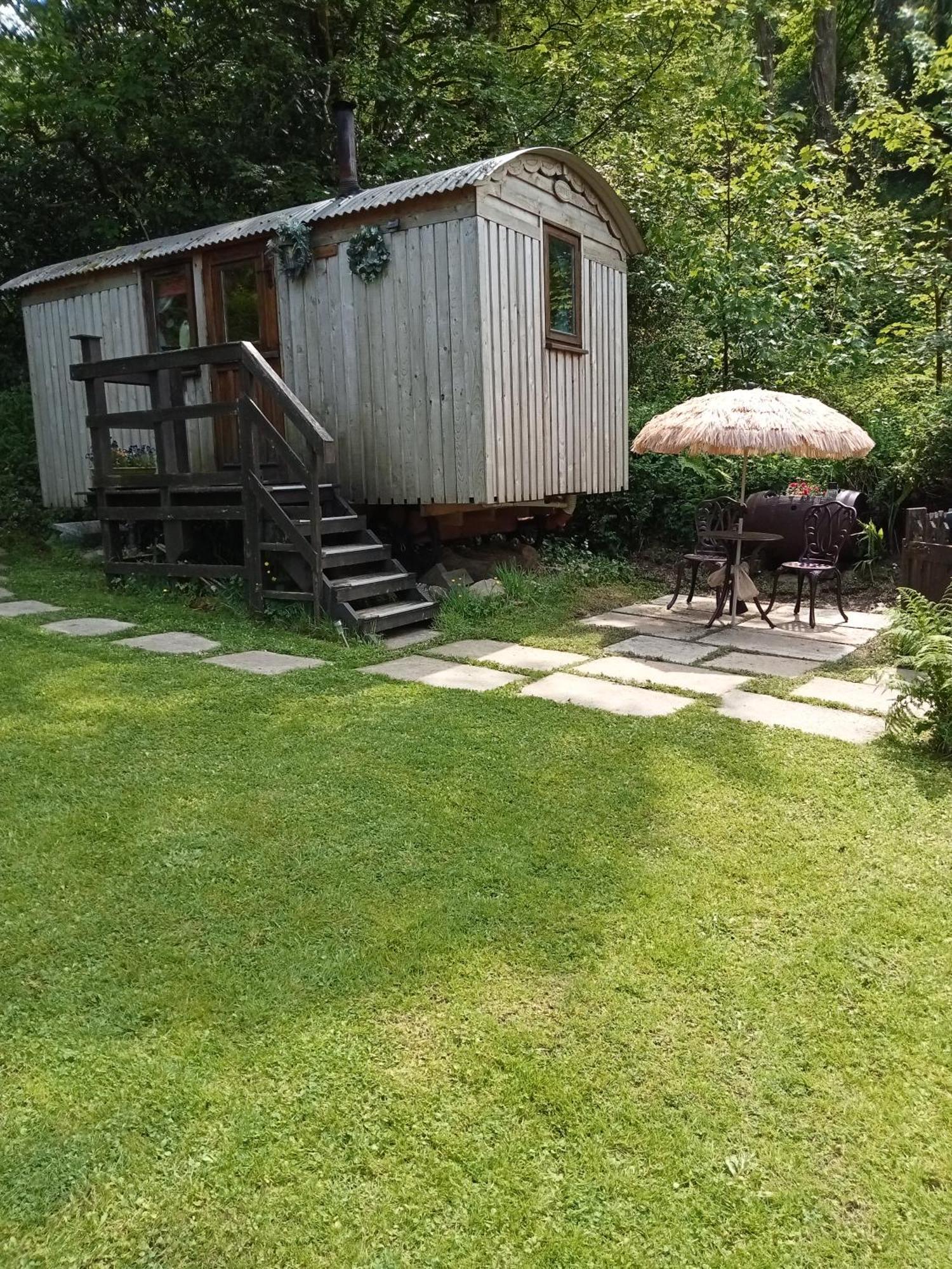 'Morris' The Shepherd'S Hut And Woodland Hot Tub Experience Carmarthen Exteriör bild