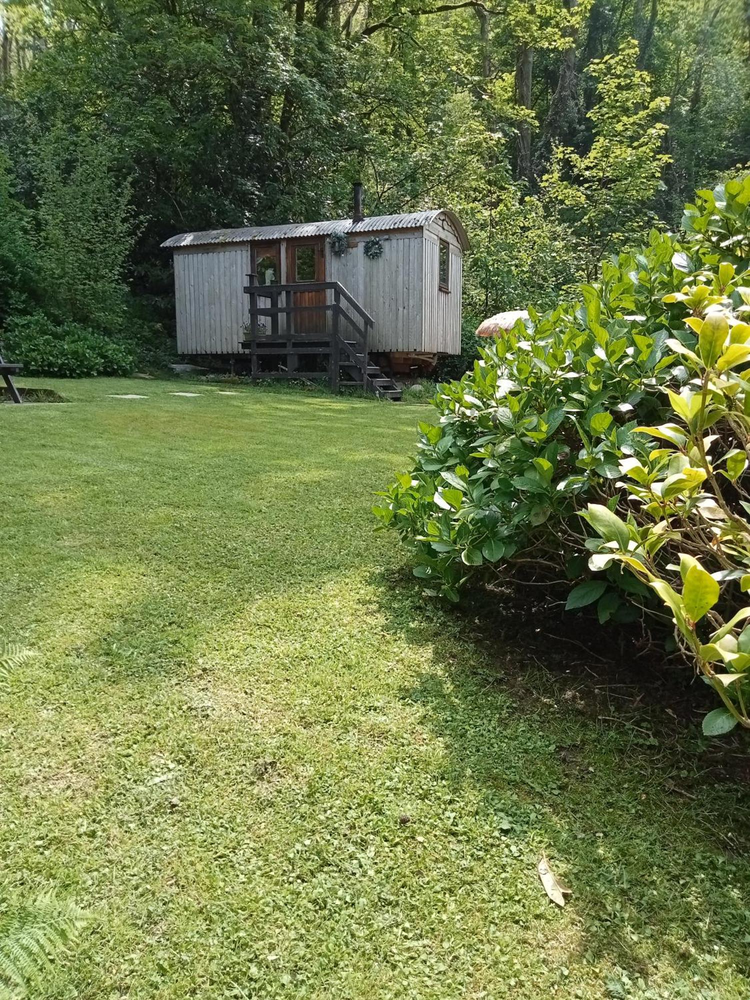 'Morris' The Shepherd'S Hut And Woodland Hot Tub Experience Carmarthen Exteriör bild