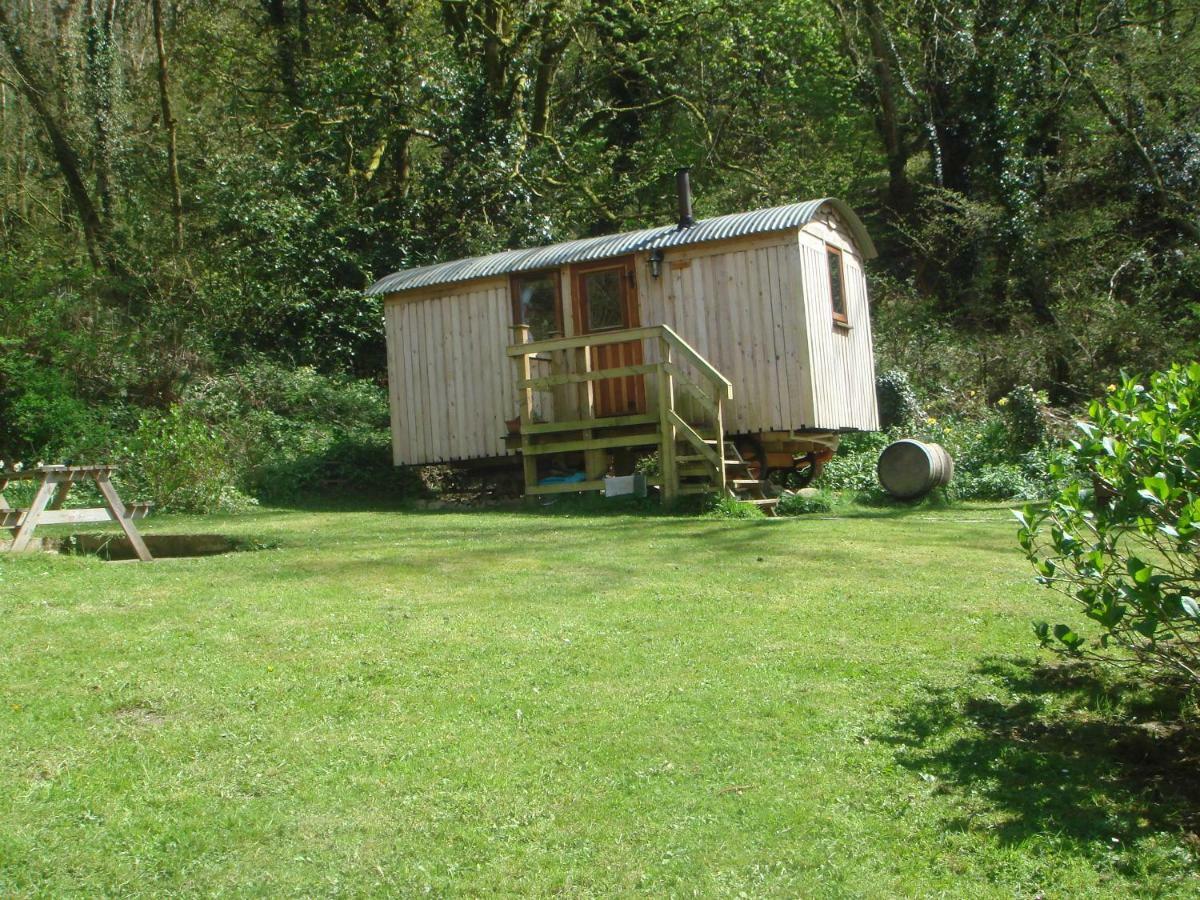 'Morris' The Shepherd'S Hut With Woodland Hot Tub Carmarthen Exteriör bild