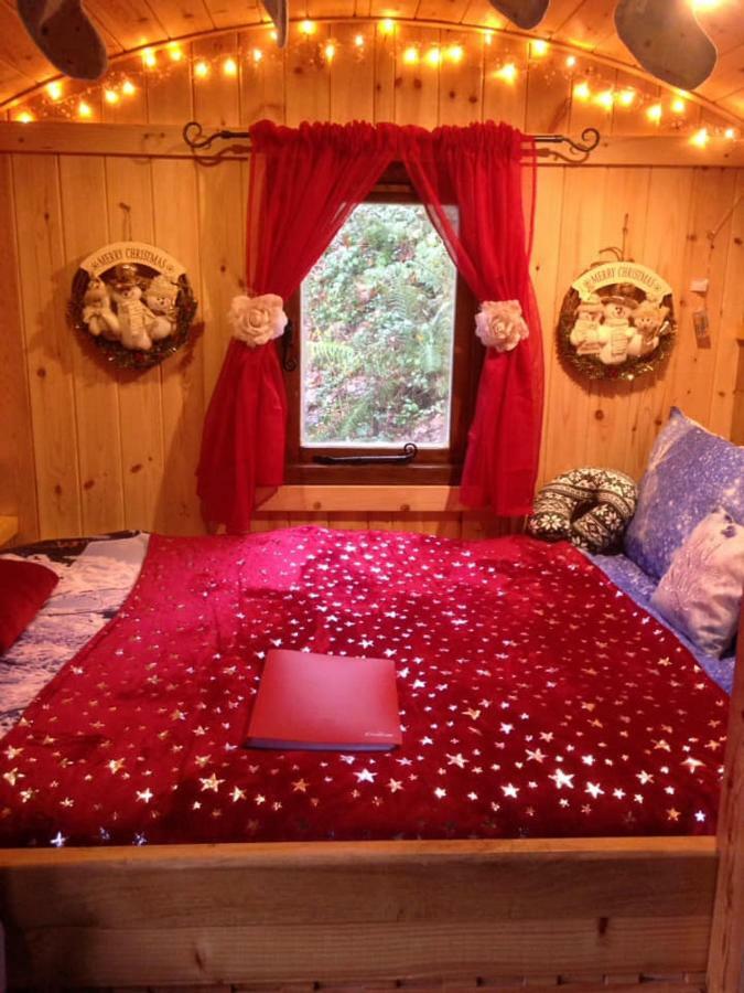'Morris' The Shepherd'S Hut And Woodland Hot Tub Experience Carmarthen Exteriör bild