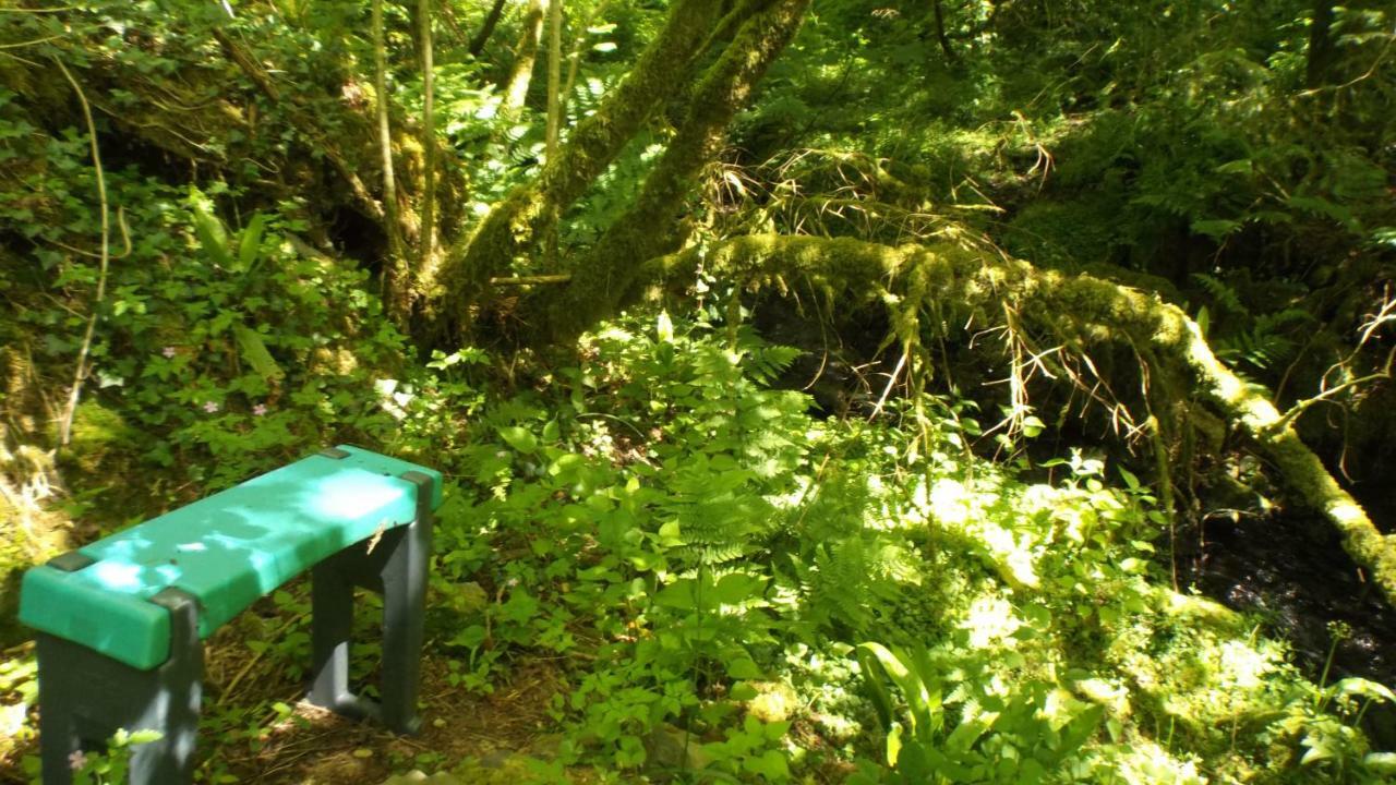 'Morris' The Shepherd'S Hut With Woodland Hot Tub Carmarthen Exteriör bild