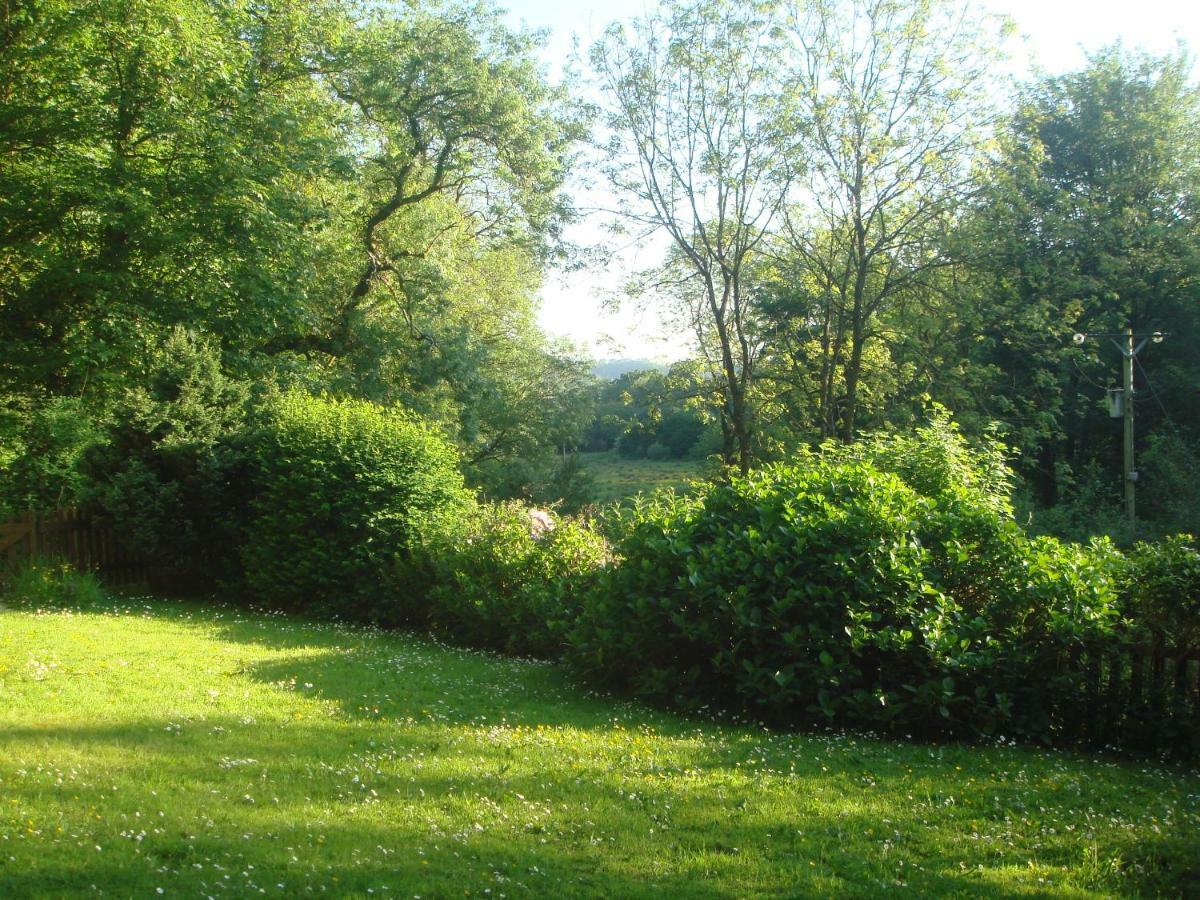 'Morris' The Shepherd'S Hut With Woodland Hot Tub Carmarthen Exteriör bild