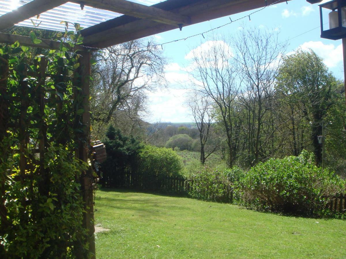 'Morris' The Shepherd'S Hut With Woodland Hot Tub Carmarthen Exteriör bild