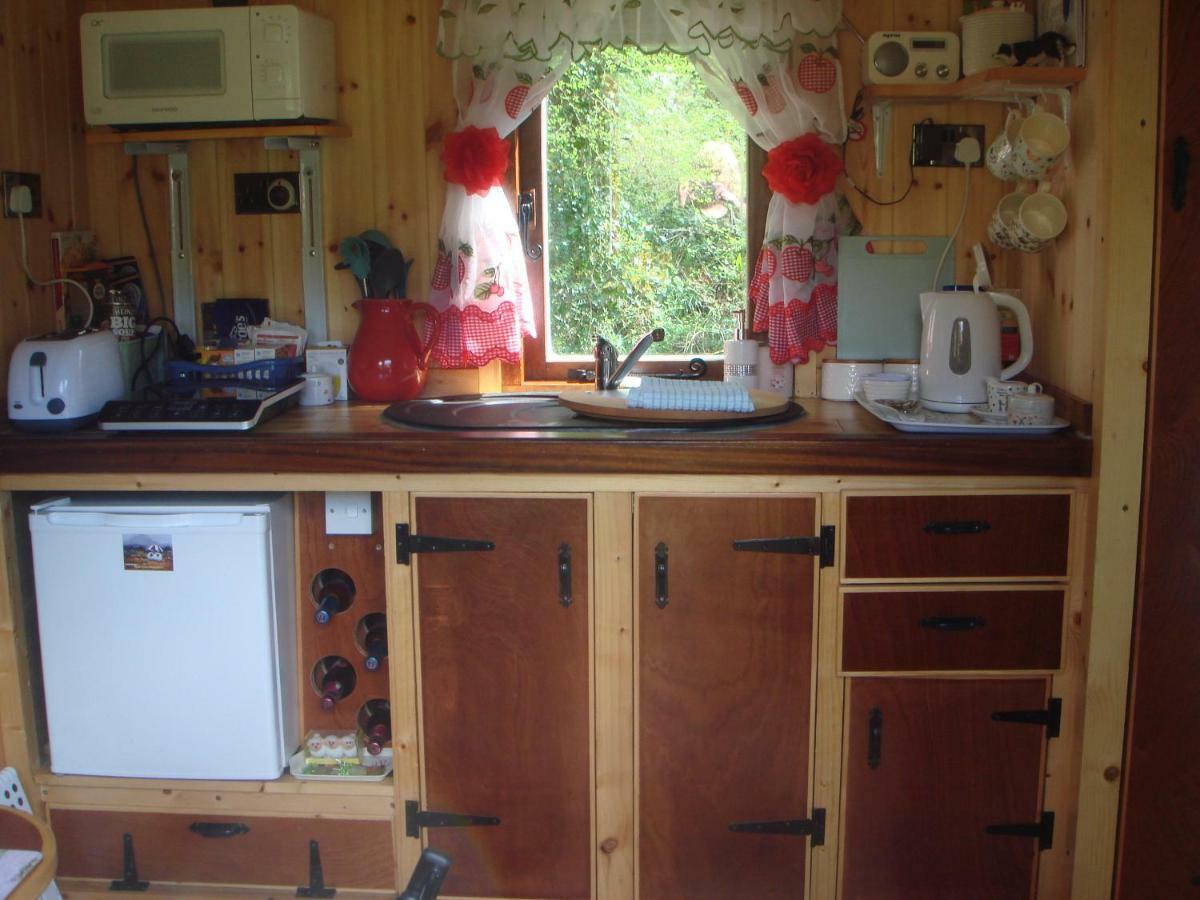 'Morris' The Shepherd'S Hut With Woodland Hot Tub Carmarthen Exteriör bild