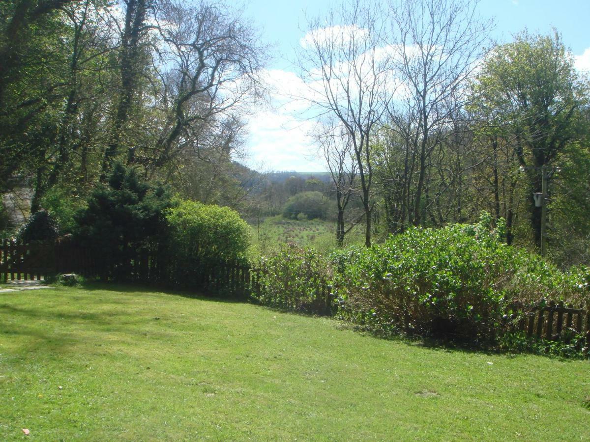 'Morris' The Shepherd'S Hut With Woodland Hot Tub Carmarthen Exteriör bild