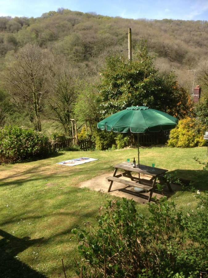 'Morris' The Shepherd'S Hut With Woodland Hot Tub Carmarthen Exteriör bild