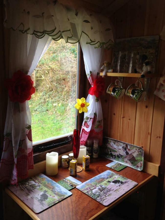 'Morris' The Shepherd'S Hut With Woodland Hot Tub Carmarthen Exteriör bild