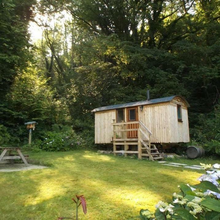 'Morris' The Shepherd'S Hut And Woodland Hot Tub Experience Carmarthen Exteriör bild