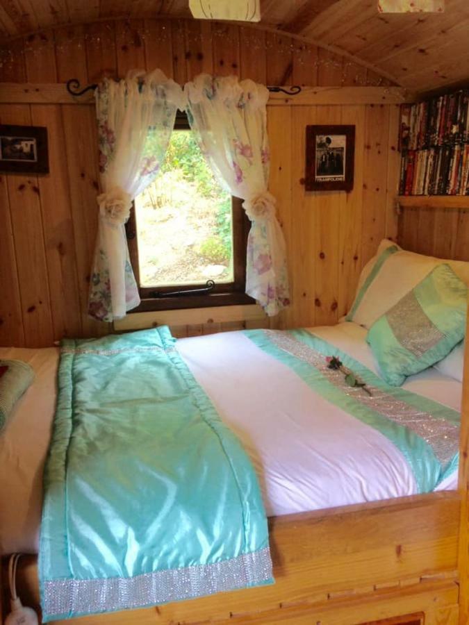 'Morris' The Shepherd'S Hut With Woodland Hot Tub Carmarthen Exteriör bild