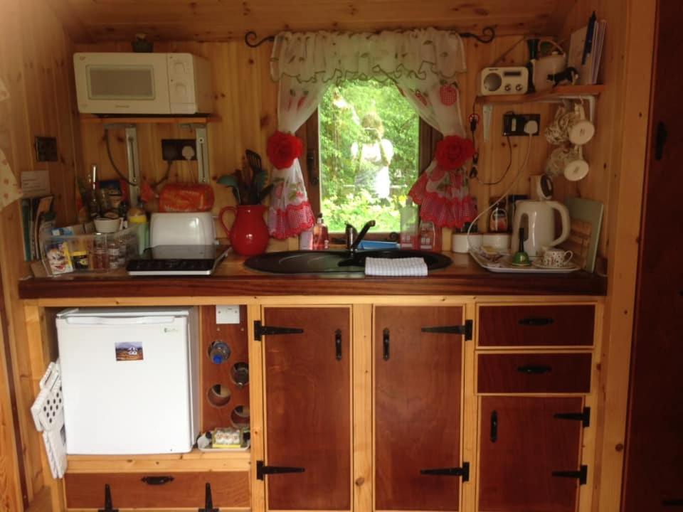 'Morris' The Shepherd'S Hut With Woodland Hot Tub Carmarthen Exteriör bild