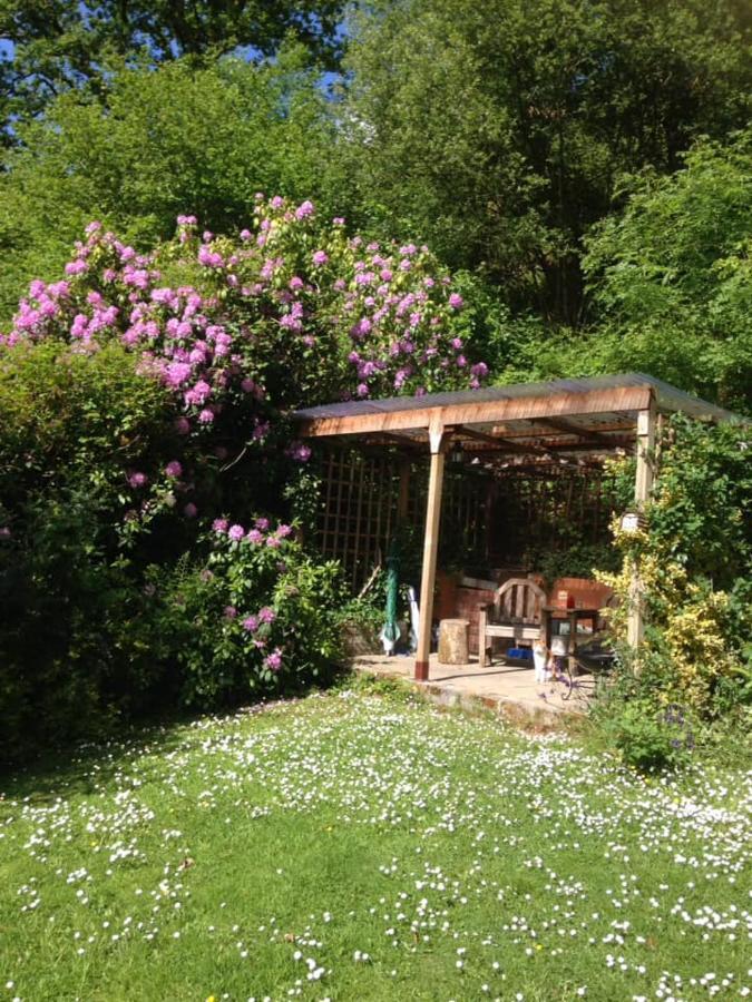 'Morris' The Shepherd'S Hut With Woodland Hot Tub Carmarthen Exteriör bild