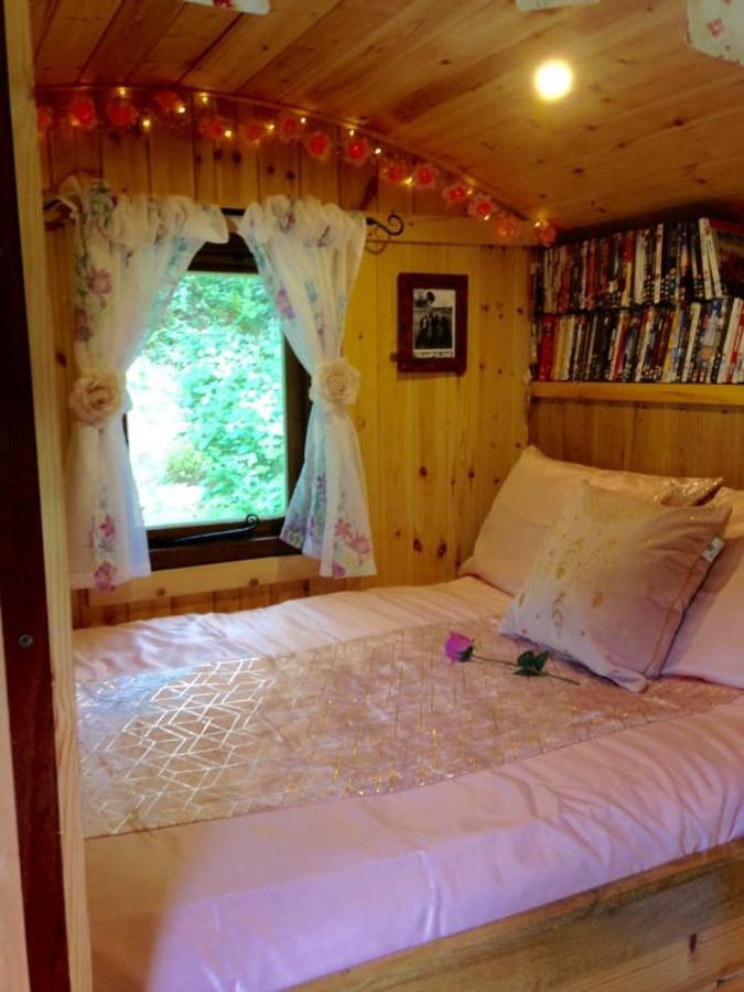 'Morris' The Shepherd'S Hut And Woodland Hot Tub Experience Carmarthen Exteriör bild