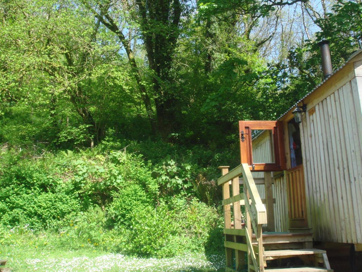 'Morris' The Shepherd'S Hut With Woodland Hot Tub Carmarthen Exteriör bild